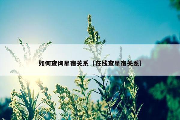 如何查询星宿关系（在线查星宿关系）
