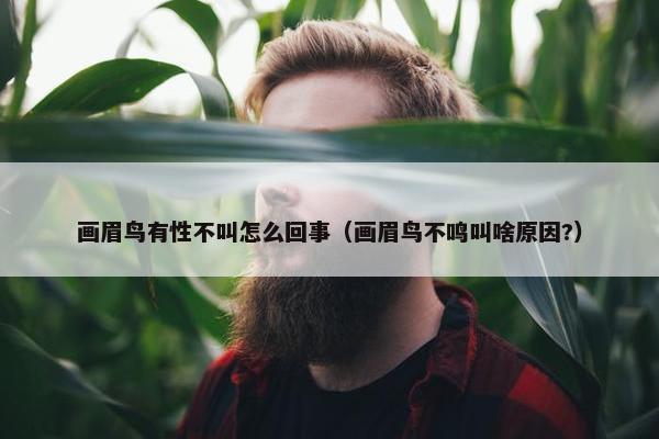画眉鸟有性不叫怎么回事（画眉鸟不鸣叫啥原因?）