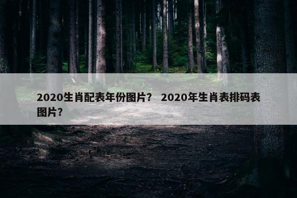 2020生肖配表年份图片？ 2020年生肖表排码表图片？