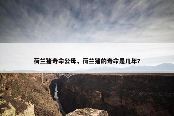 荷兰猪寿命公母，荷兰猪的寿命是几年?