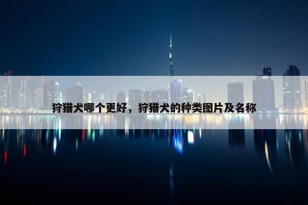 狩猎犬哪个更好，狩猎犬的种类图片及名称