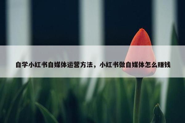 自学小红书自媒体运营方法，小红书做自媒体怎么赚钱