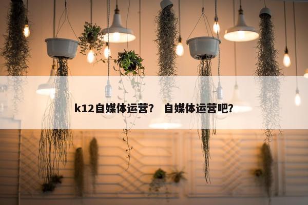 k12自媒体运营？ 自媒体运营吧？