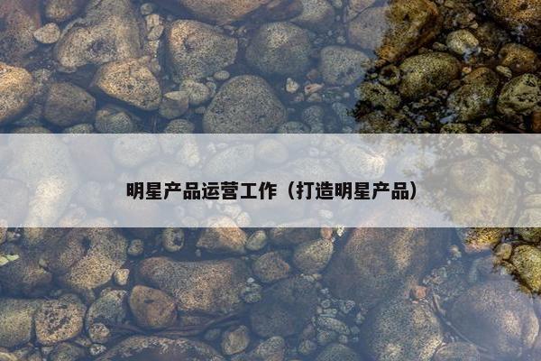 明星产品运营工作（打造明星产品）