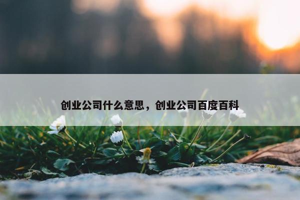 创业公司什么意思，创业公司百度百科