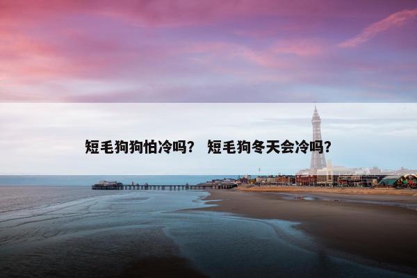 短毛狗狗怕冷吗？ 短毛狗冬天会冷吗？