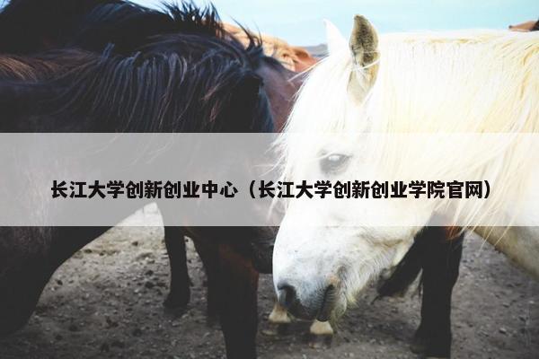 长江大学创新创业中心（长江大学创新创业学院官网）