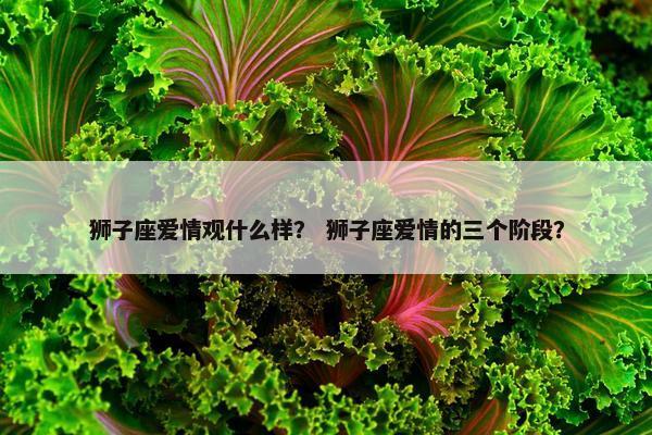 狮子座爱情观什么样？ 狮子座爱情的三个阶段？