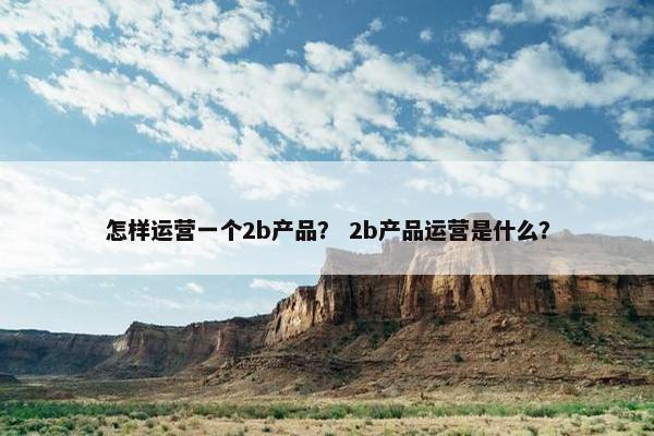 怎样运营一个2b产品？ 2b产品运营是什么？