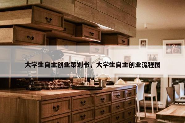 大学生自主创业策划书，大学生自主创业流程图