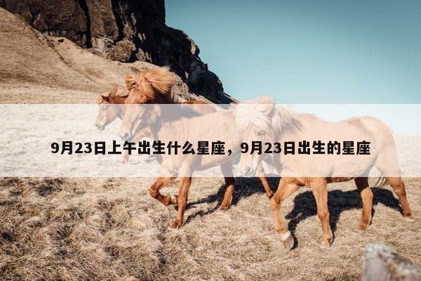 9月23日上午出生什么星座，9月23日出生的星座