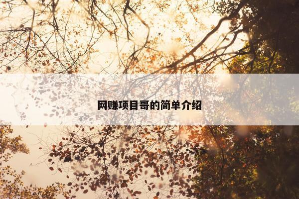 网赚项目哥的简单介绍
