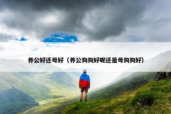 养公好还母好（养公狗狗好呢还是母狗狗好）
