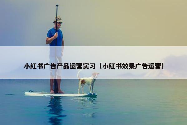 小红书广告产品运营实习（小红书效果广告运营）