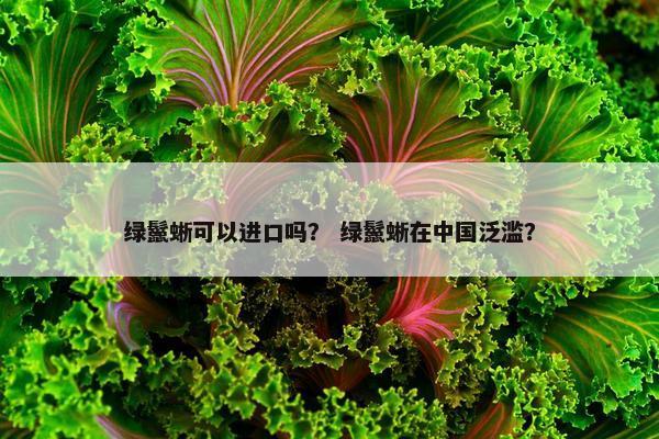 绿鬣蜥可以进口吗？ 绿鬣蜥在中国泛滥？