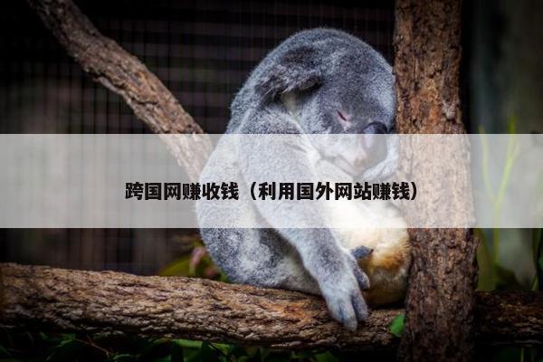跨国网赚收钱（利用国外网站赚钱）