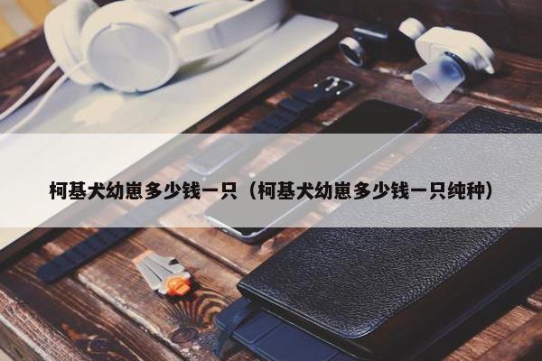 柯基犬幼崽多少钱一只（柯基犬幼崽多少钱一只纯种）