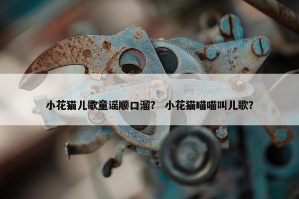 小花猫儿歌童谣顺口溜？ 小花猫喵喵叫儿歌？