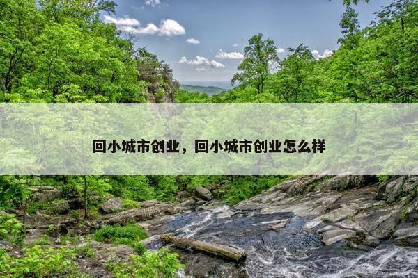 回小城市创业，回小城市创业怎么样
