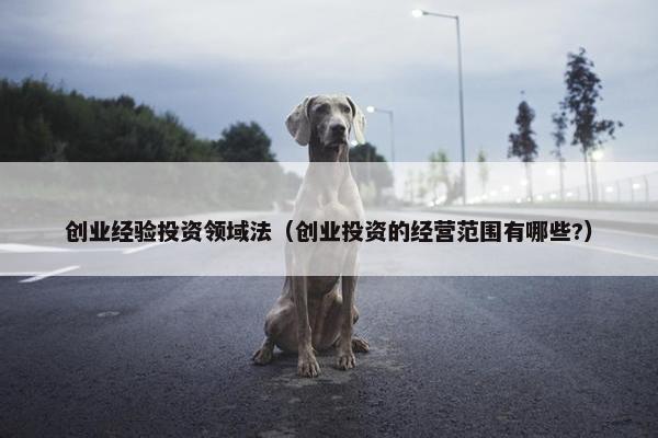 创业经验投资领域法（创业投资的经营范围有哪些?）