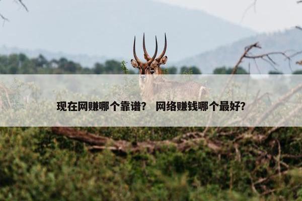 现在网赚哪个靠谱？ 网络赚钱哪个最好？