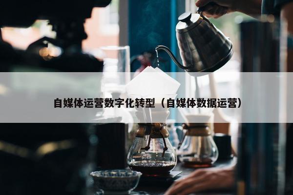 自媒体运营数字化转型（自媒体数据运营）