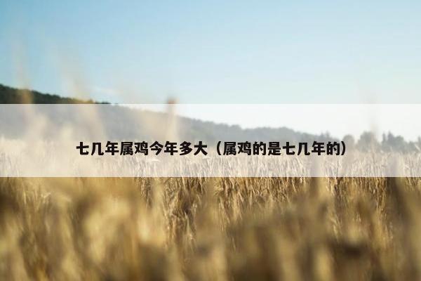 七几年属鸡今年多大（属鸡的是七几年的）