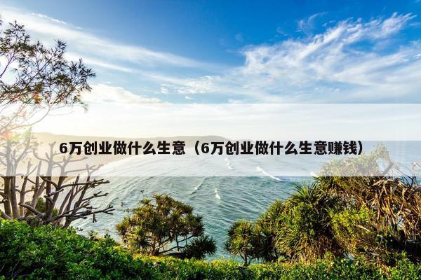6万创业做什么生意（6万创业做什么生意赚钱）