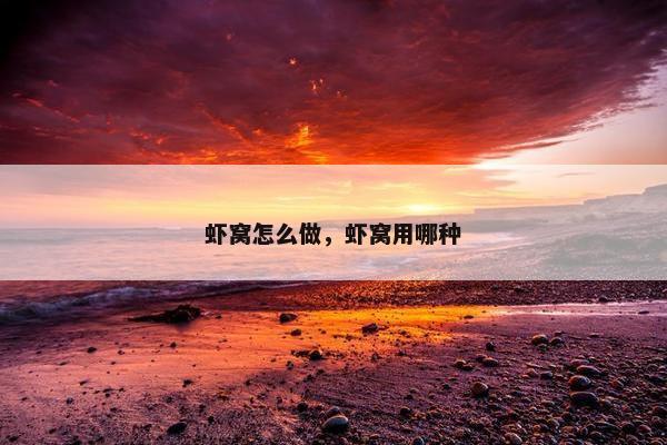 虾窝怎么做，虾窝用哪种