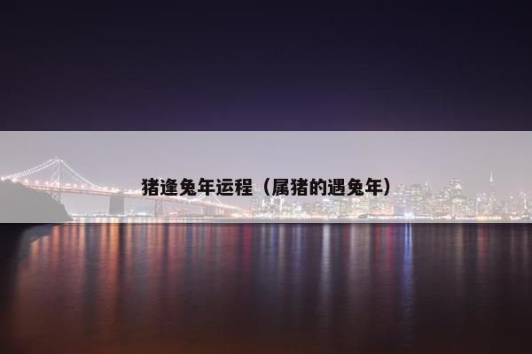 猪逢兔年运程（属猪的遇兔年）