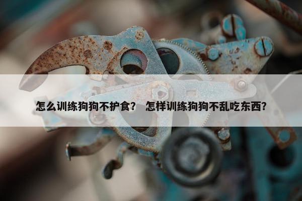 怎么训练狗狗不护食？ 怎样训练狗狗不乱吃东西？