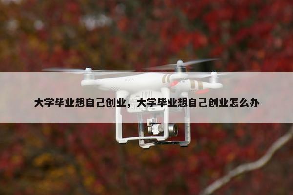 大学毕业想自己创业，大学毕业想自己创业怎么办