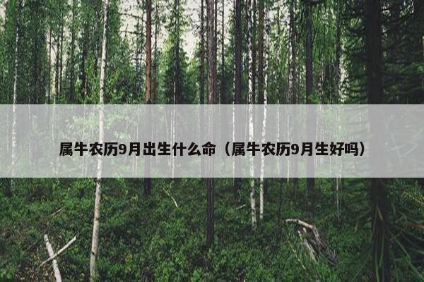 属牛农历9月出生什么命（属牛农历9月生好吗）