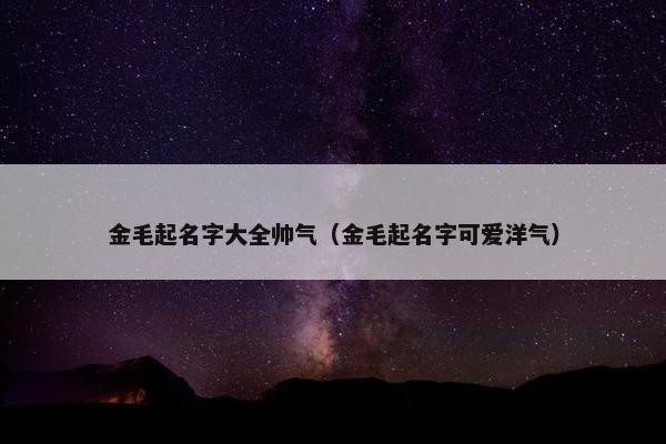 金毛起名字大全帅气（金毛起名字可爱洋气）