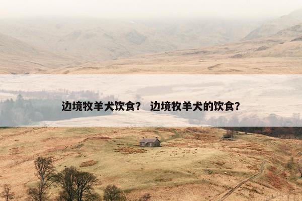 边境牧羊犬饮食？ 边境牧羊犬的饮食？