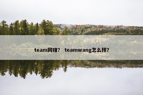 team网赚？ teamwang怎么样？