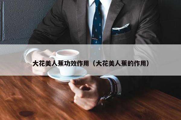 大花美人蕉功效作用（大花美人蕉的作用）