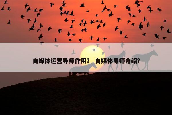 自媒体运营导师作用？ 自媒体导师介绍？
