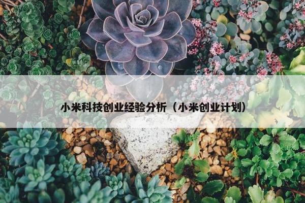 小米科技创业经验分析（小米创业计划）
