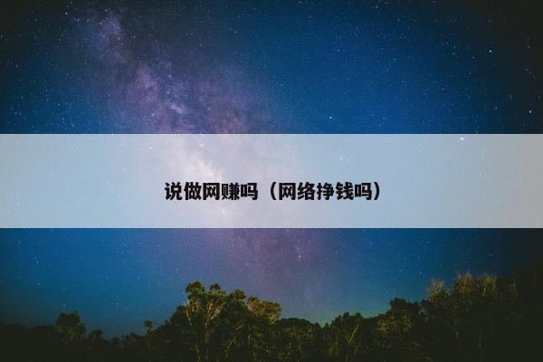 说做网赚吗（网络挣钱吗）