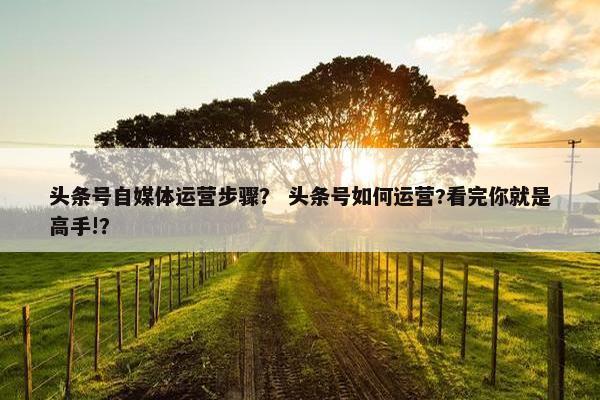 头条号自媒体运营步骤？ 头条号如何运营?看完你就是高手!？