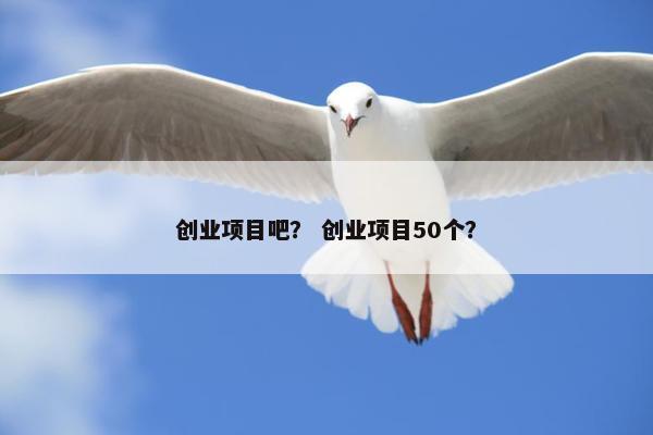创业项目吧？ 创业项目50个？