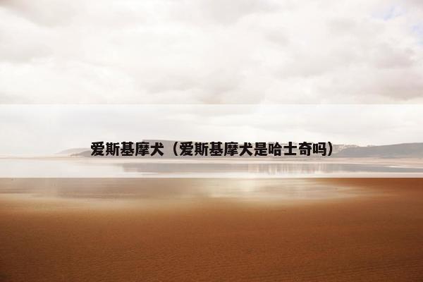爱斯基摩犬（爱斯基摩犬是哈士奇吗）