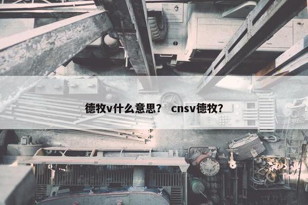 德牧v什么意思？ cnsv德牧？