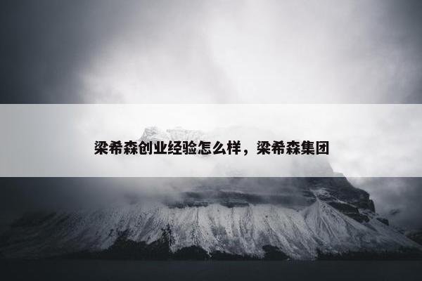 梁希森创业经验怎么样，梁希森集团