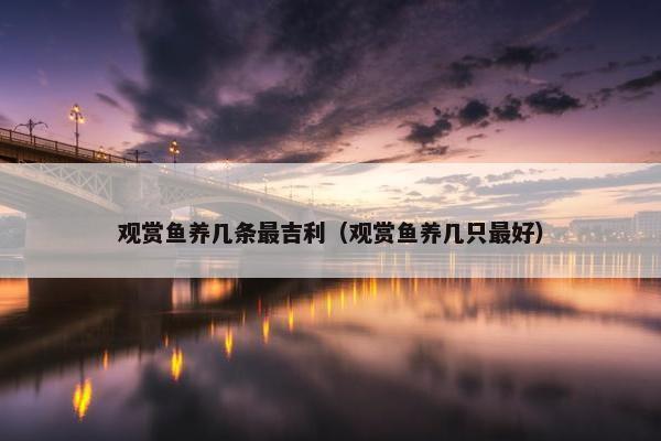 观赏鱼养几条最吉利（观赏鱼养几只最好）