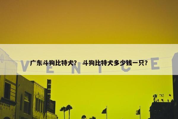 广东斗狗比特犬？ 斗狗比特犬多少钱一只？