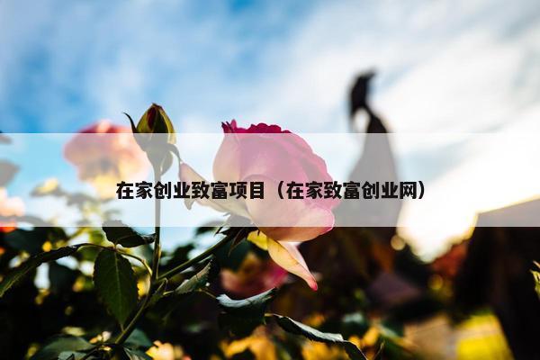 在家创业致富项目（在家致富创业网）