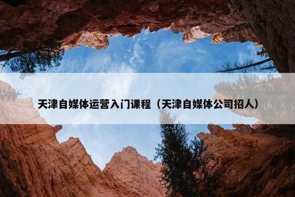 天津自媒体运营入门课程（天津自媒体公司招人）