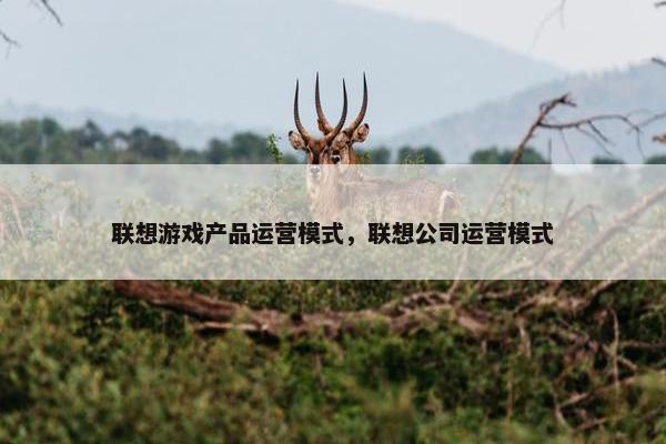 联想游戏产品运营模式，联想公司运营模式